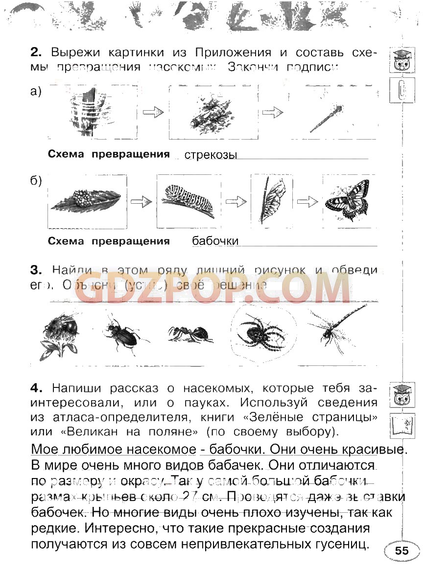 Ответа окружающий мир новицкая плешаков. Изобрази с помощью схематических рисунков главные. С помощью схематических рисунков главные признаки. Изобрази с помощью схематических рисунков главные признаки рыб. Изобрази с помощью схематических рисунков главные признаки 2 класс.